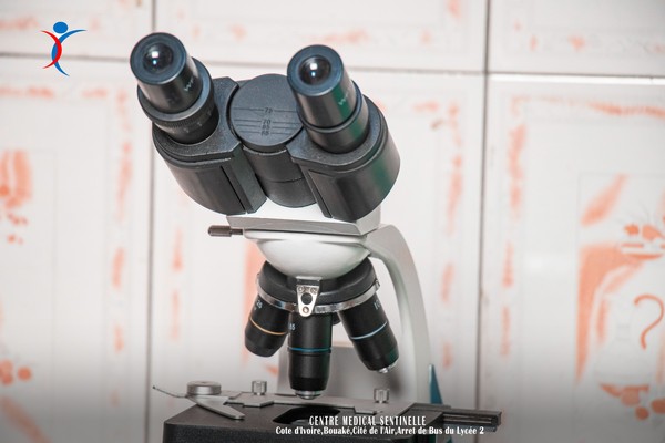 NUMERATION FORMULE SANGUINE